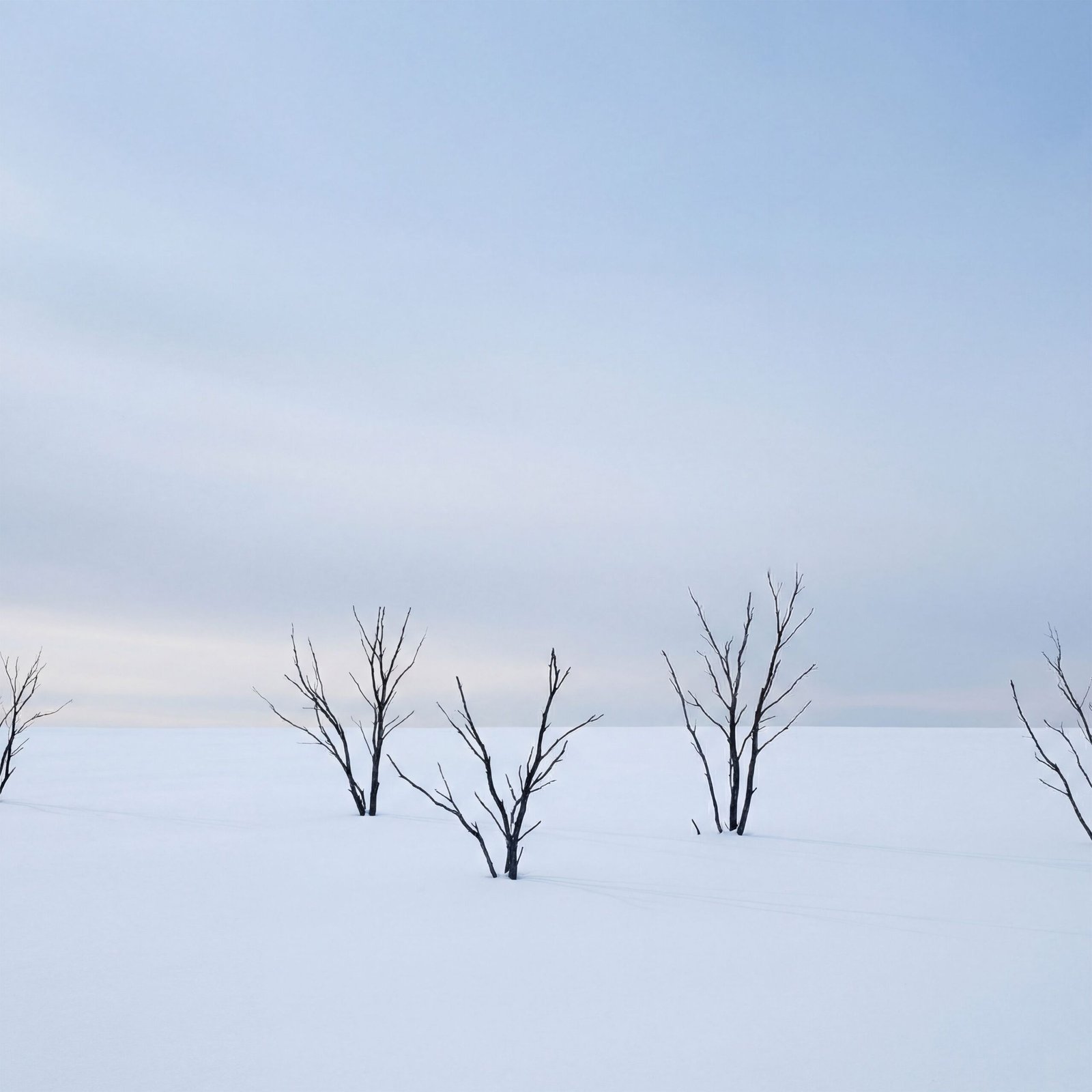 apres l hiver victor hugo poeme mis en musique par lovatine scaled